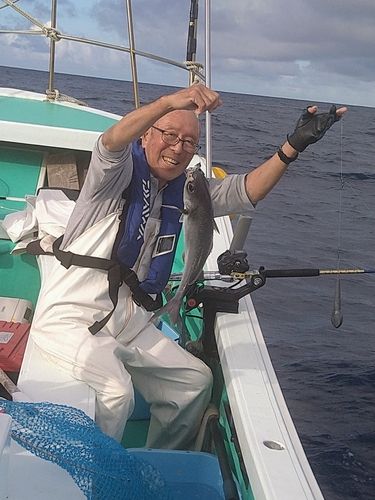 メダイの釣果
