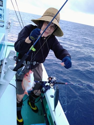 キダイの釣果