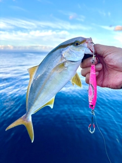 ネリゴの釣果