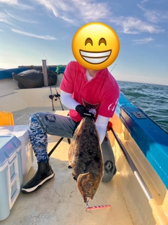 オヒョウの釣果