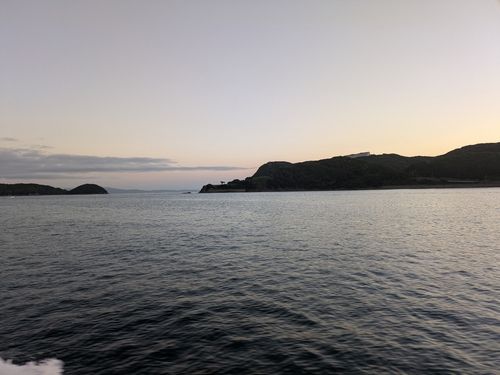 マアジの釣果