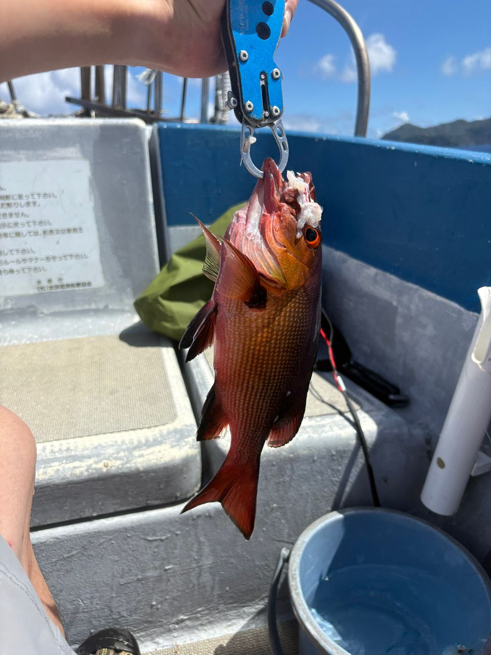 川くじらさんの釣果 2枚目の画像