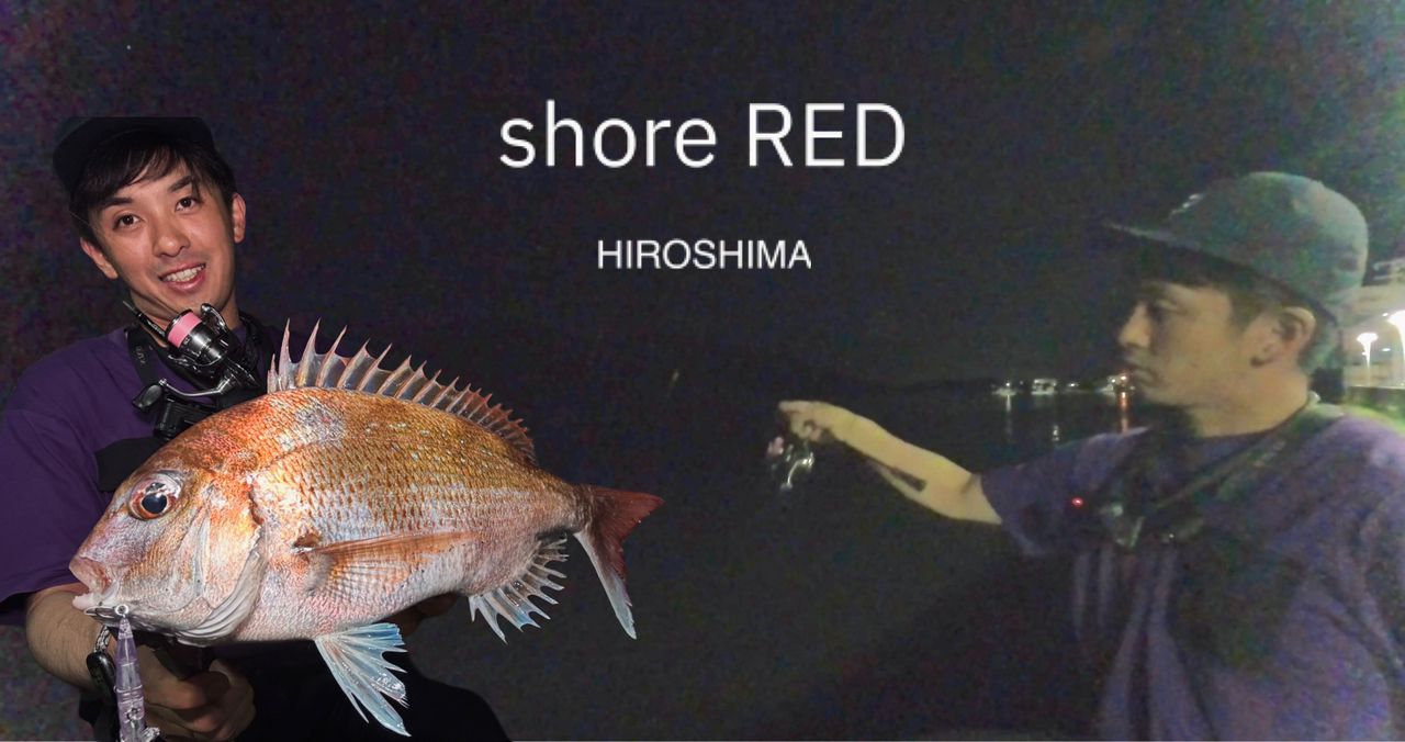 マダイ