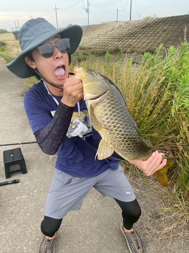 コイの釣果