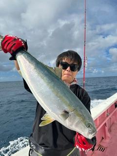 ワラサの釣果