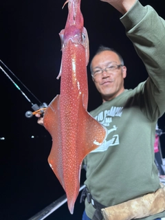 ケンサキイカの釣果