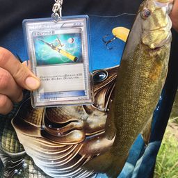 スモールマウスバス