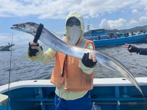 タチウオの釣果