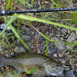 スモールマウスバス