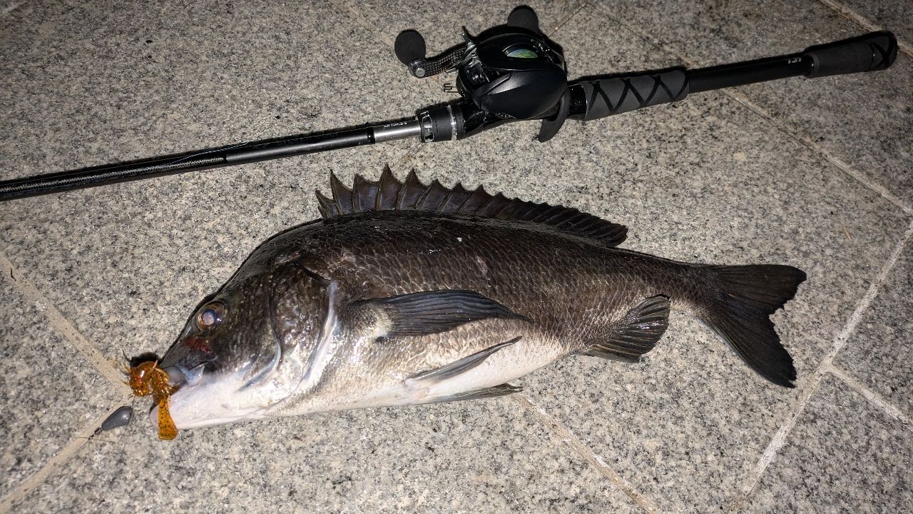 DAIWA 22シルバーウルフ AIR 76MLB-Sの最安値・インプレ・釣果