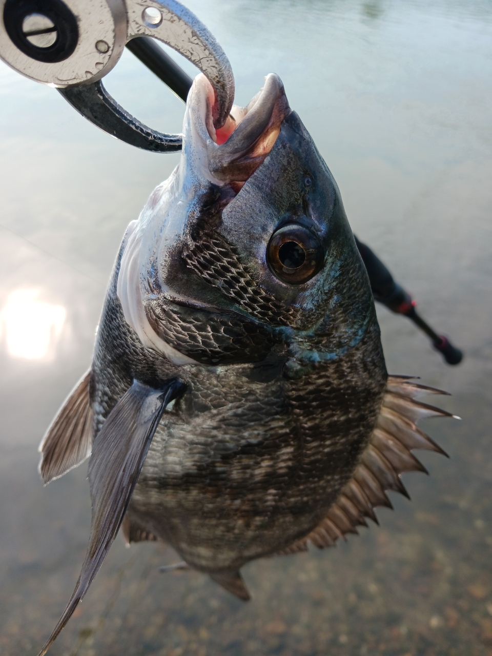 DAIWA 22エメラルダス ストイスト RT 82MHの最安値・インプレ