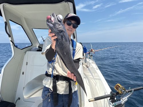 イバラヒゲの釣果