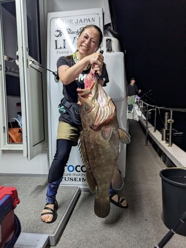 クエの釣果