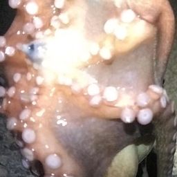 タコ
