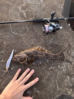 ソゲの釣果