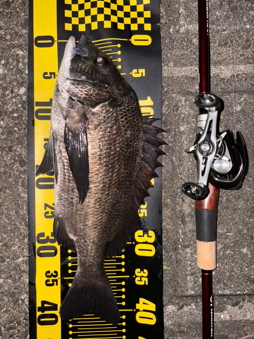 Fishman ビームス CRAWLA 9.2L＋の最安値・インプレ・釣果