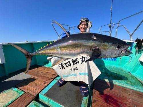 キハダマグロの釣果