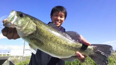 ブラックバスの釣果