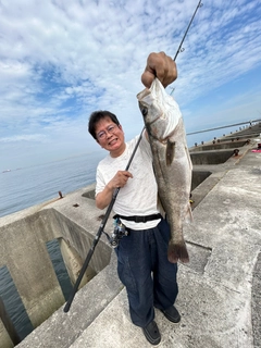 スズキの釣果