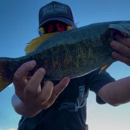 スモールマウスバス