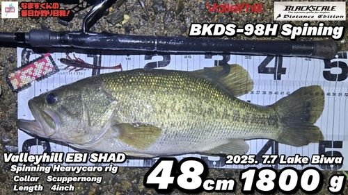 ブラックバスの釣果