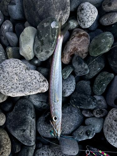 釣果