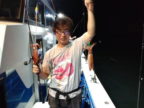 マルイカの釣果