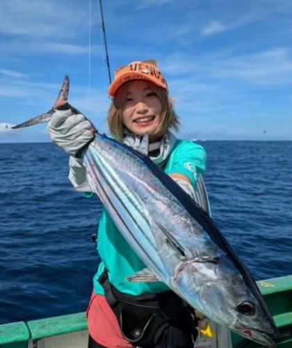 カツオの釣果