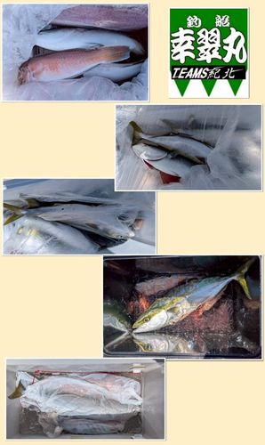 シロアマダイの釣果