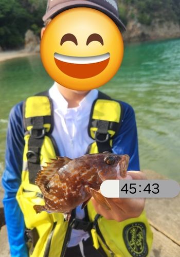 佐津浜