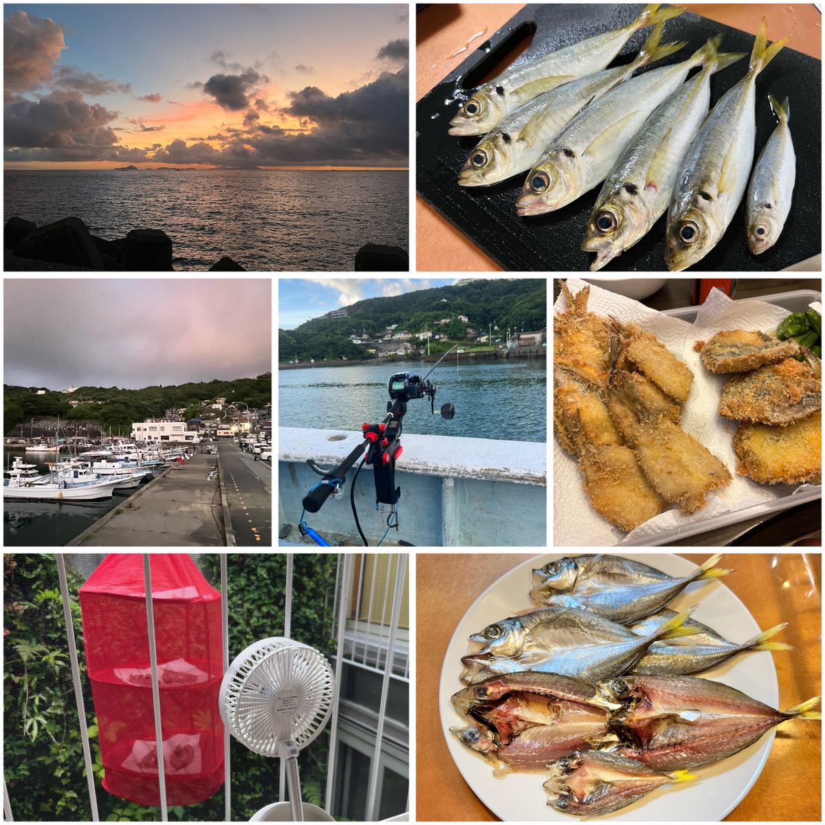 ちゃいあめさんの釣果 1枚目の画像