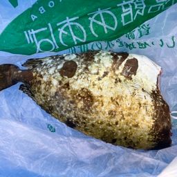 バリ