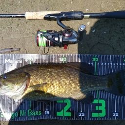 スモールマウスバス