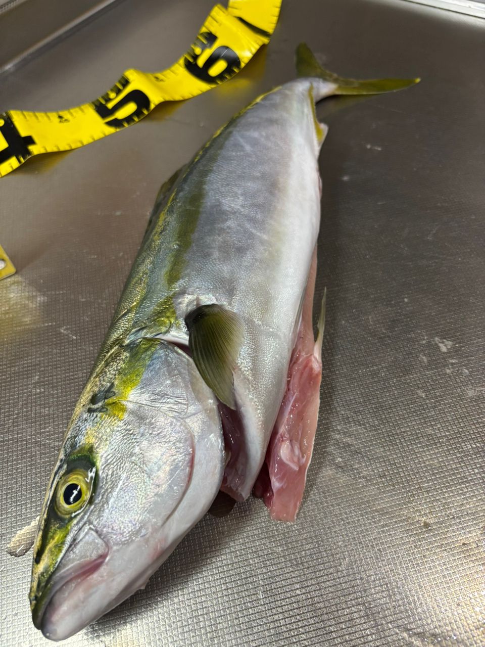 tsujiken5688さんの釣果 3枚目の画像