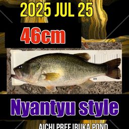 ラージマウスバス