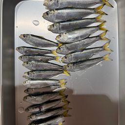 サッパ