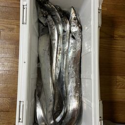 タチウオ