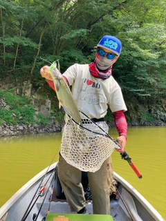 ナマズの釣果