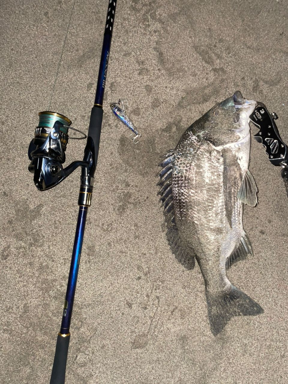 SHIMANO 22ネッサ BB S106MHの最安値・インプレ・釣果 | 本音の