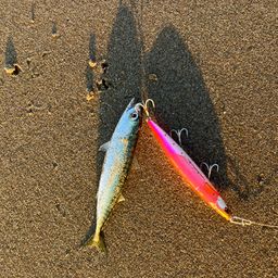 サバ