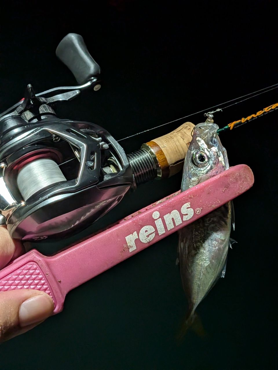 アルファス AIR 8.6 L Amazon.com : Daiwa Bait Reel 20 Alphas Air TW 8.6L (2020