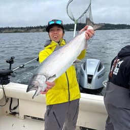 キングサーモン