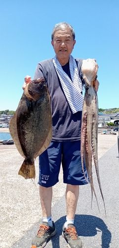 ヒラメの釣果