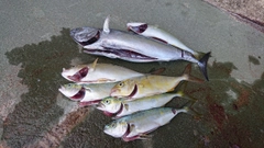 釣果