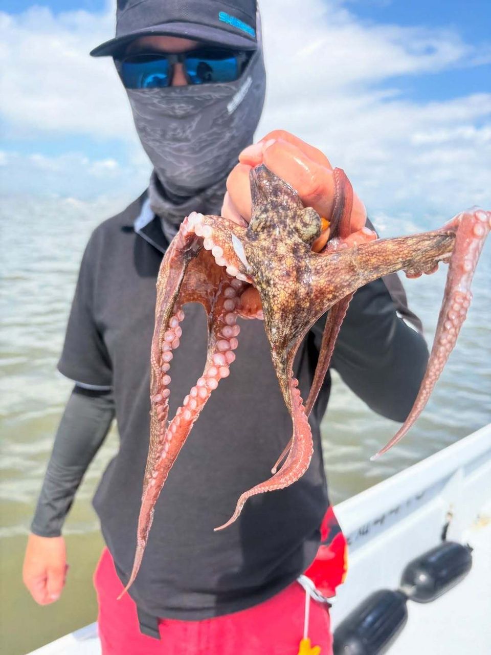 ALL RAID (オールレイド) 公式さんの釣果 1枚目の画像