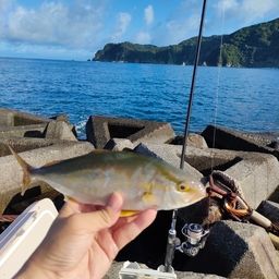 ショゴ