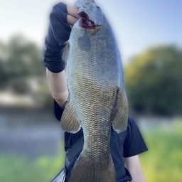 スモールマウスバス