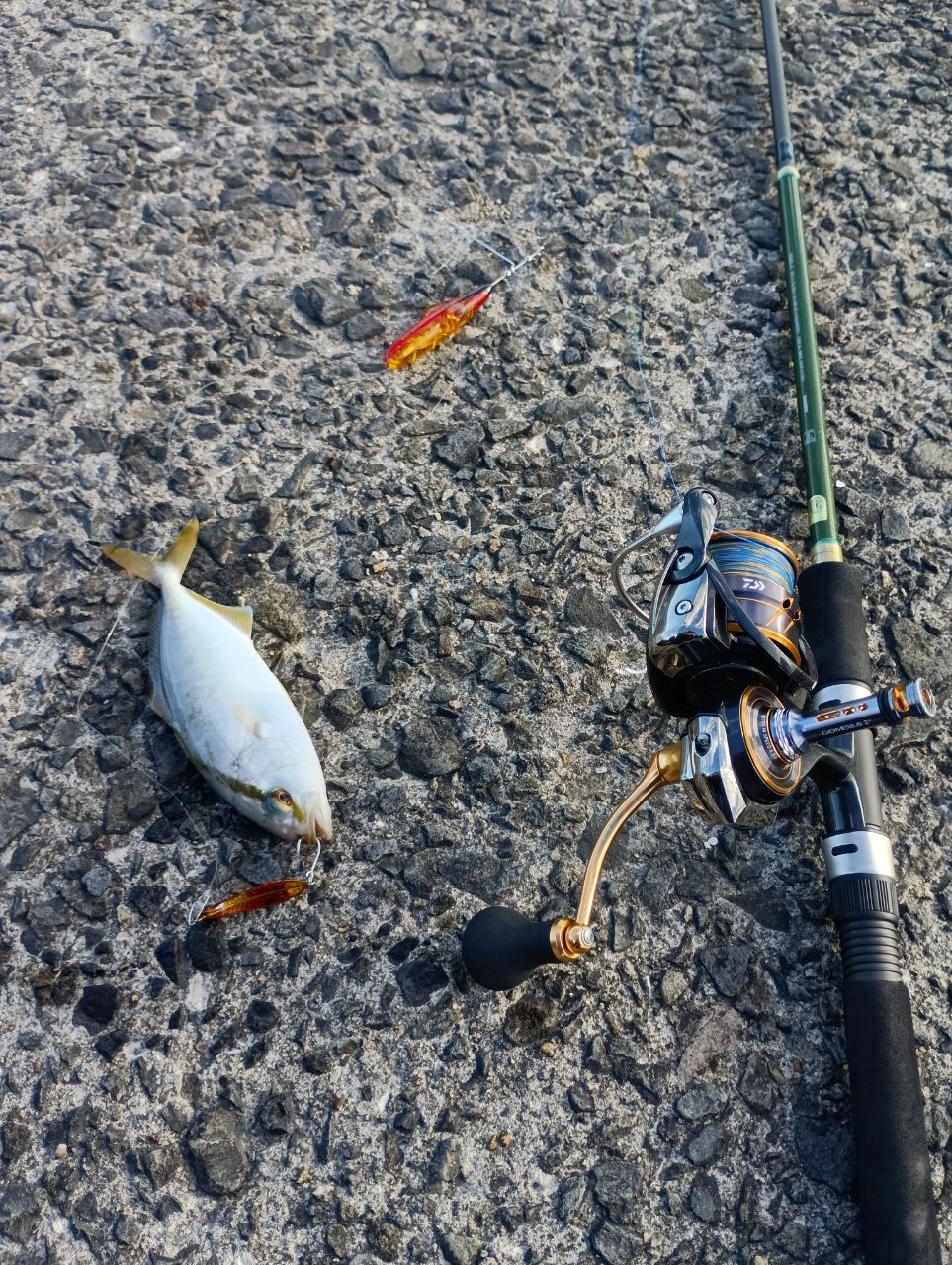 シマノ(SHIMANO) 20 ルアーマチック MB S86ML-4 シマノ ルアーマチック MB S86ML-4 (ロッド・釣竿) 価格比較