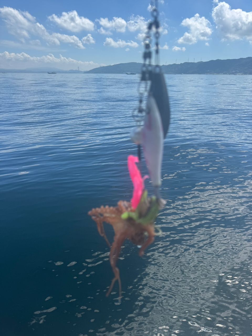 わんこわんさんの釣果 3枚目の画像