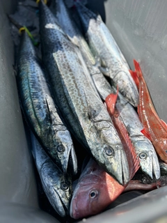 釣果